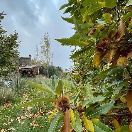 Chalet Cortijo Rural El Albercon - - Alpujarra Rural Capileira