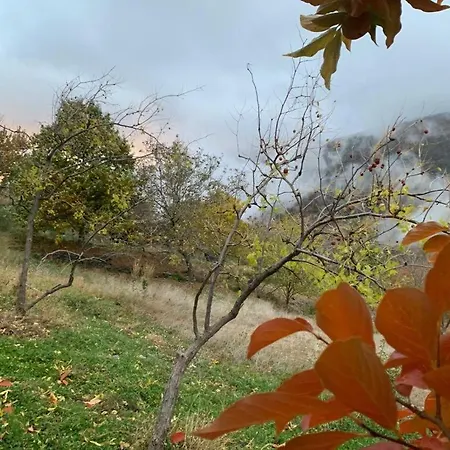 Cortijo Rural El Albercon - - Alpujarra Rural Chalet Capileira