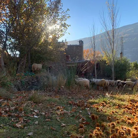Cortijo Rural El Albercon - - Alpujarra Rural Chalet
