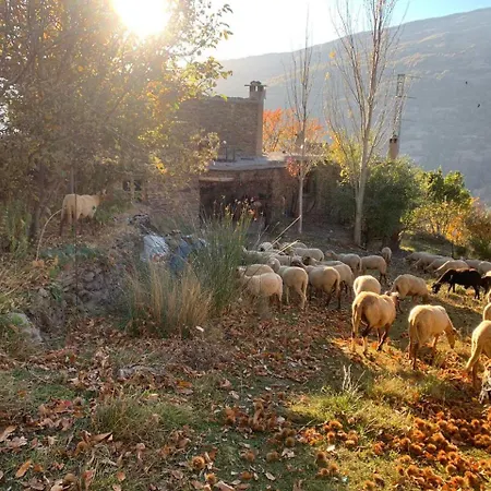 Cortijo Rural El Albercon - - Alpujarra Rural * Capileira