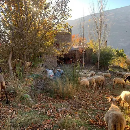 Cortijo Rural El Albercon - - Alpujarra Rural Chalet Capileira