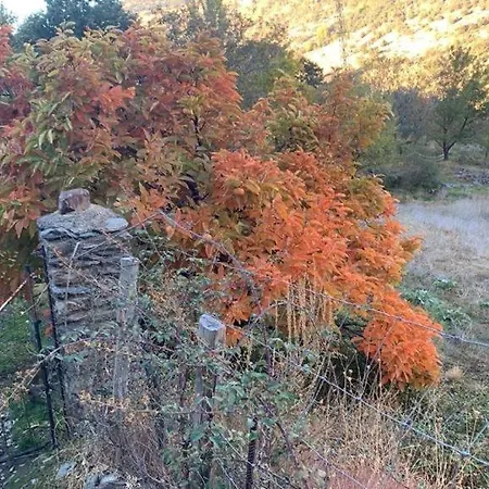 Chalet Cortijo Rural El Albercon - - Alpujarra Rural Capileira