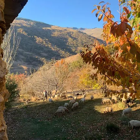Cortijo Rural El Albercon - - Alpujarra Rural Chalet